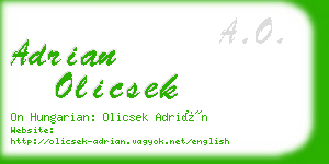 adrian olicsek business card